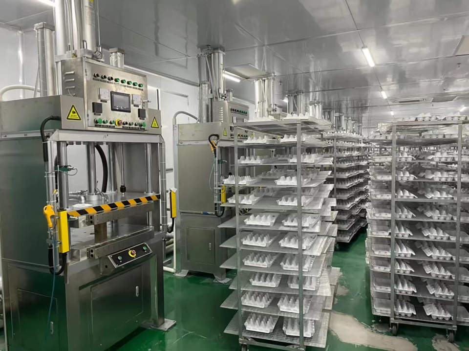 惠州濕壓紙托生產(chǎn)工藝和特點介紹